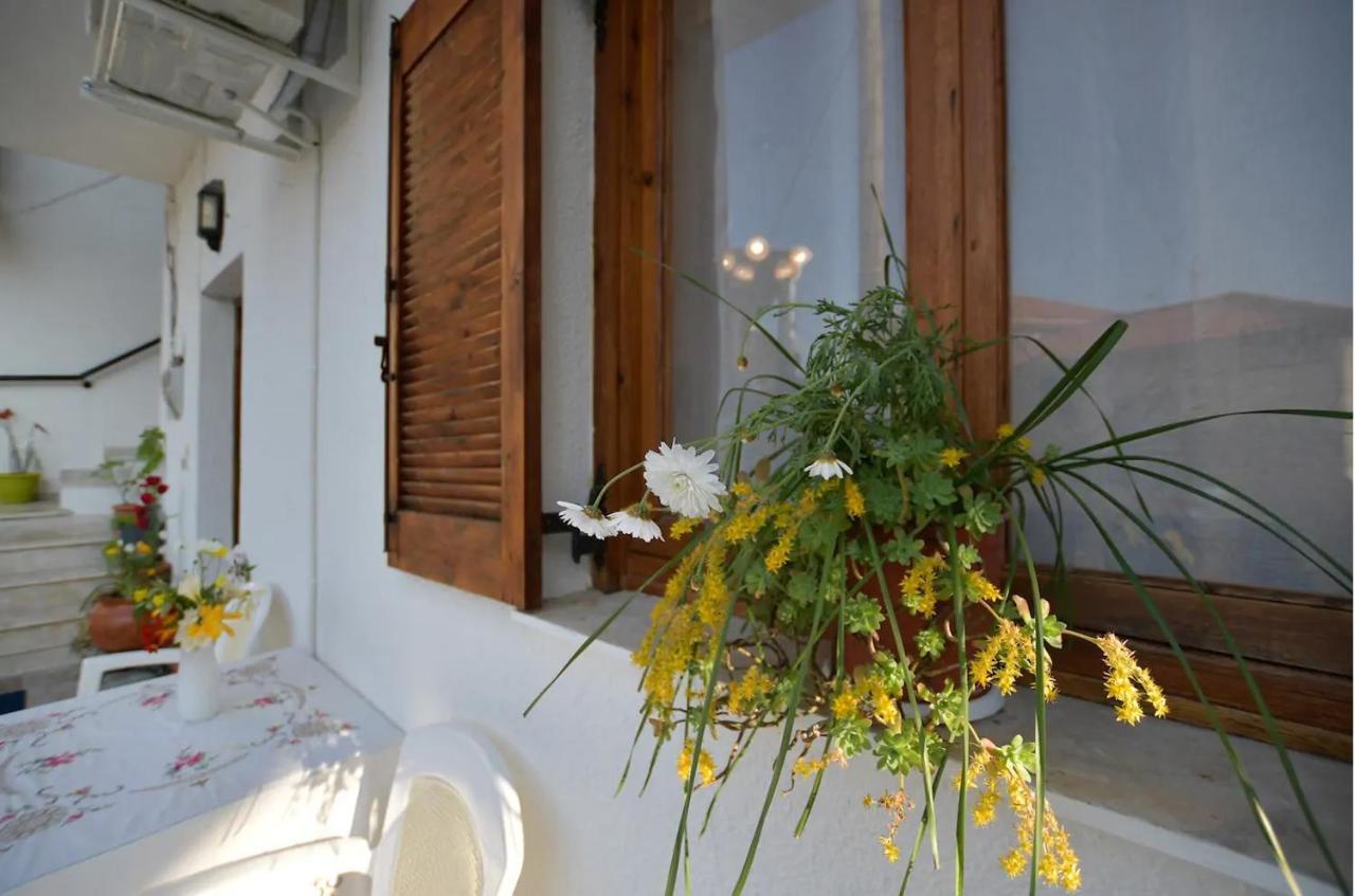 Relaxing Experiences Near Ancient Olympia Apartment Archea Pissa Exterior photo